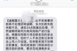 南岔为什么选择专业追讨公司来处理您的债务纠纷？